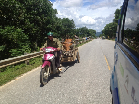 Chặng đường đi qua miền Trung Việt Nam