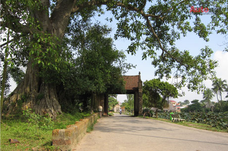 làng cổ Đường Lâm cách thị xã Sơn Tây khoảng 4 km