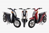 Terra Motors VN to introduce 3rd model in Vietnam